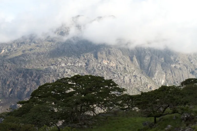 CHIMANIMANI_002_PHOTO_BY_Brian-Gratwicke_FLICKR