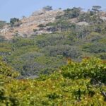 Nkhotakota Wildlife Reserve – Malawi