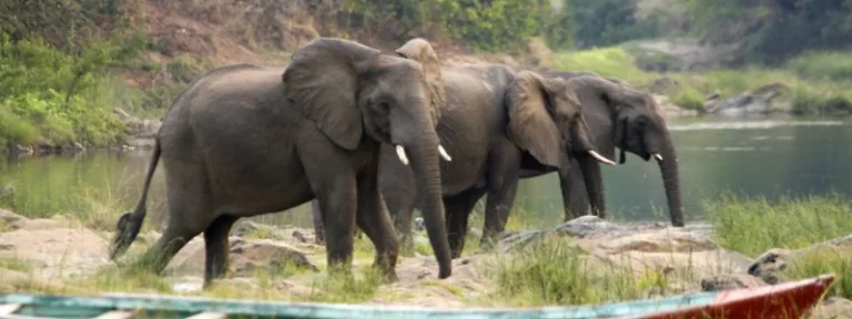 NKHOTAKOTA_001_PHOTO_BY_MALAWI_TOURISM NKHOTAKOTA_001_PHOTO_BY_MALAWI_TOURISM