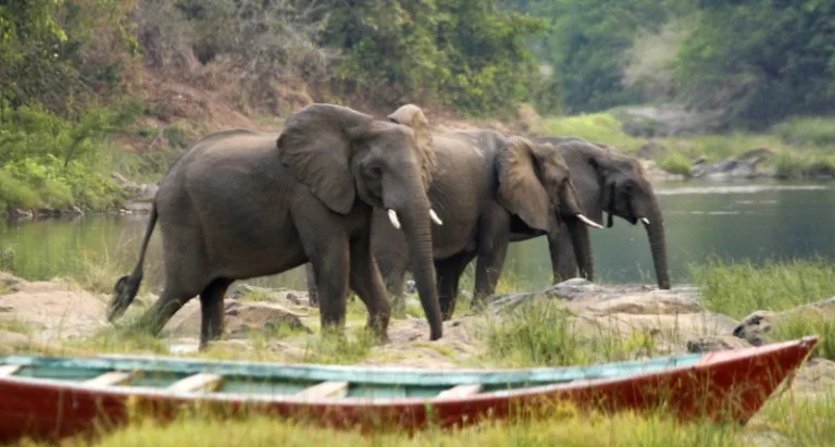 NKHOTAKOTA_002_PHOTO_BY_MALAWI_TOURISM NKHOTAKOTA_002_PHOTO_BY_MALAWI_TOURISM