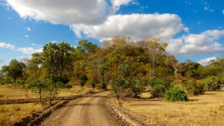 LIWONDE_001_PHOTO_BY_Mickaël-T-_FLICKR LIWONDE_001_PHOTO_BY_Mickaël-T-_FLICKR