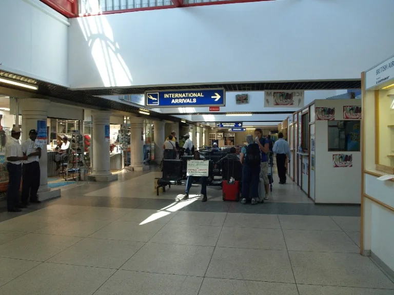 VFIA_003_PHOTO_BY_Kounosu_WIKIPEDIA VFIA_003_PHOTO_BY_Kounosu_WIKIPEDIA