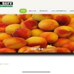 Alsefy Company for Import & Export – Quweisna – Egypt