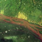 Congo River – DR Congo