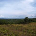 Maiko National Park – DR Congo