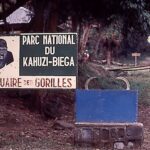 Kahuzi-Biega National Park – DR Congo