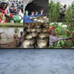 The National Cooperative Confederation of Rwanda (NCCR) – Kigali – Rwanda