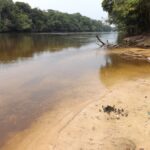 Lomami National Park – DR Congo