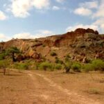 Mapungubwe National Park – South Africa