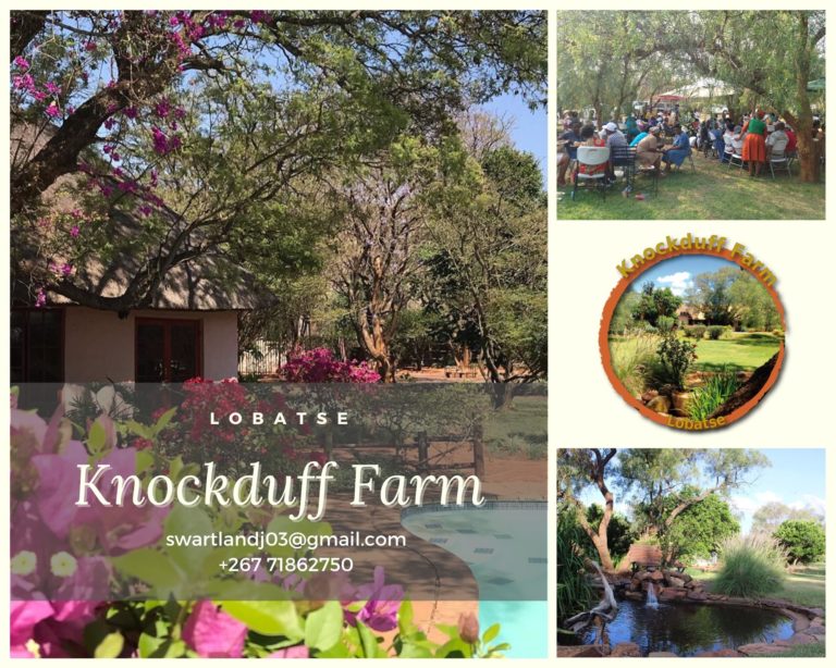 ProdAfrica Business Directory - Knockduff Farm: Transforming a Dream ...