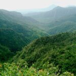 Black River Gorges National Park – Mauritius