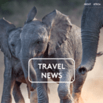Africa Tourism Association – New York – USA