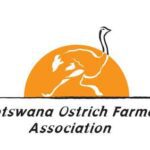 Botswana Ostrich Farmers Association (BOFA) – Gaborone – Botswana