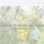 The National Producer Portal (PPN) – Luanda – Angola