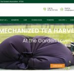 Kenya Tea Growers Association – Kericho – Kenya