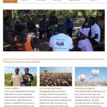 The Cotton Association of Zambia (CAZ) – Lusaka – Zambia
