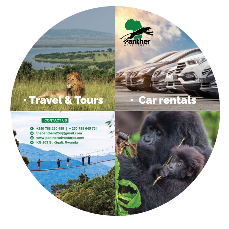Location - All Africa in Business Directory 8 Cover Tyre 1 768x768