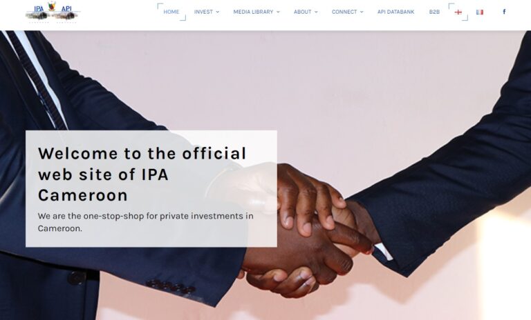 Investment Promotion Agency - Yaounde - Cameroon 2 APICAMEROON 002 768x464