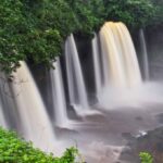 Cross River National Park – Nigeria