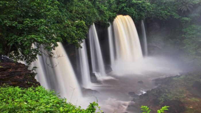 Cross River National Park - Nigeria 9 Featured image