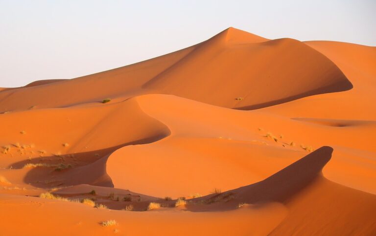 Erg Chebbi - Morocco 1 ERG CHEBBI DUNNES  PHOTO BY Bjorn Christian Torrissen WIKIPEDIA 768x483