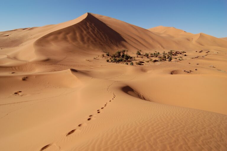 Erg Chebbi - Morocco 3 ERG CHEBBI DUNNES  PHOTO BY Rosino WIKIPEDIA 768x511