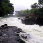Korup National Park – Cameroon