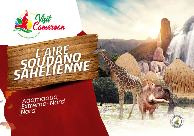 MOTLAMEROON 003 768x540