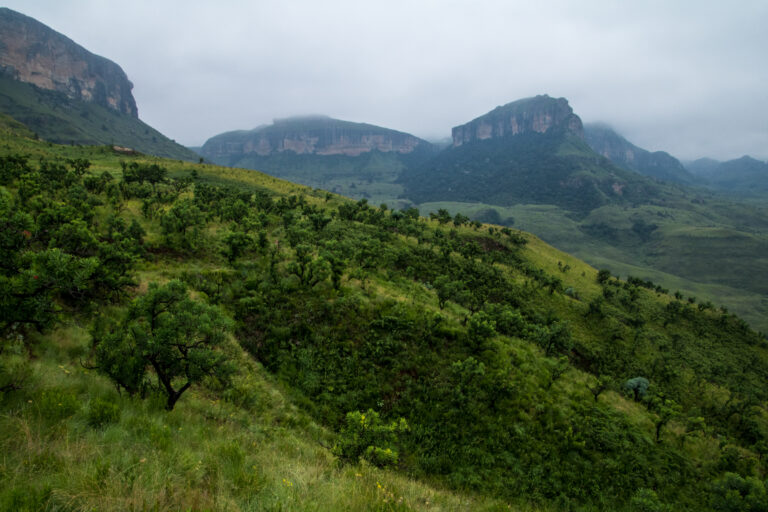 Royal Natal National Park - South Africa 5 ROYALNATALNP 001 PHOTO BY TheStorm WIKIPEDIA 768x512