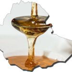 Ethiopian development model based on honey production