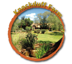 Knockduff Farm Lobatse Botswana: Pool, Family & Corporate Event Venue