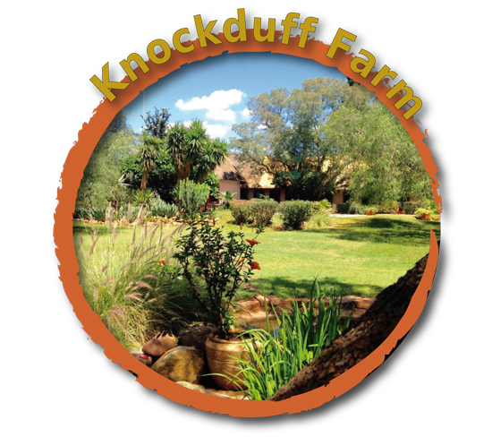 Knockduff Farm: Transforming a Dream into Business Reality