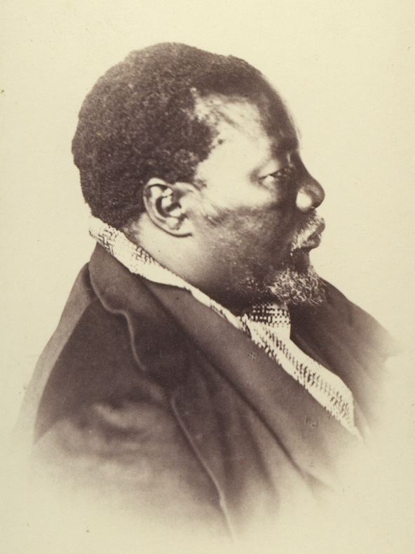 Sechele Gustav Fritsch 1865 Wikipedia