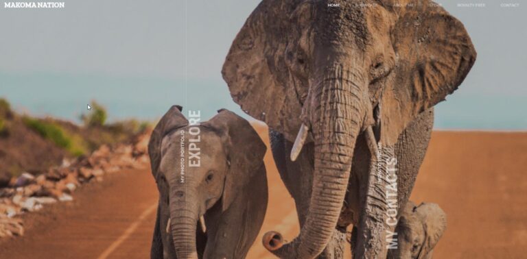 makomanation 003 768x378