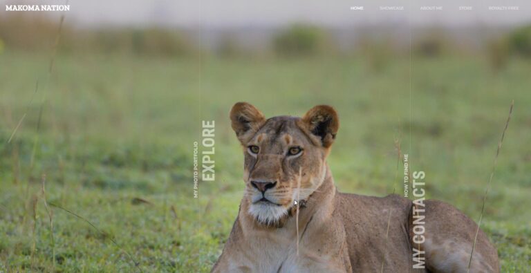 makomanation 005 768x395