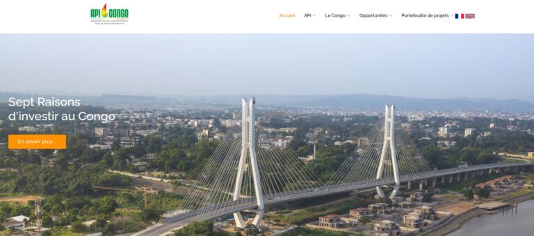 APICONGO 001 768x340