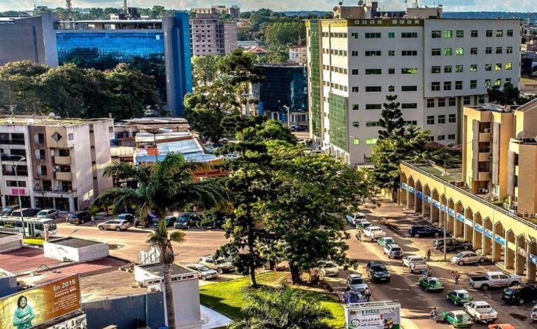 APICONGO 002 768x470