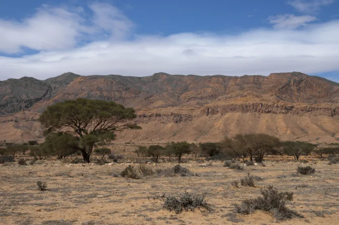 Bou-Hedma National Park - Tunisia 10 Featured image
