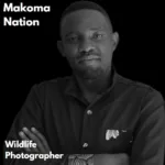 Makoma Nation: Master of Wildlife Photography in Uganda