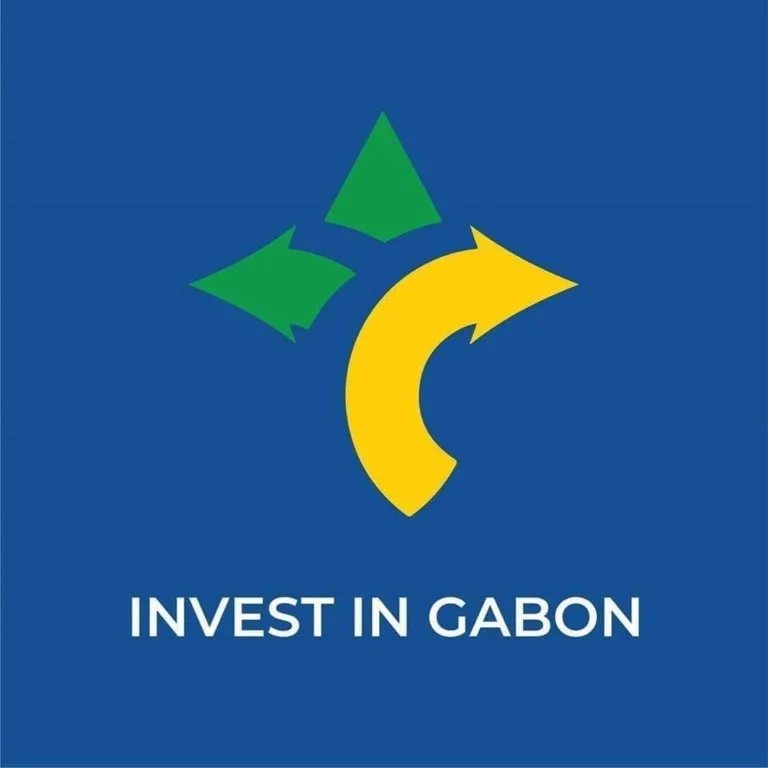 anpi gabon 768x768
