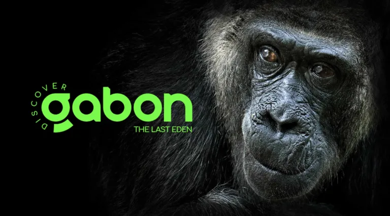 gabon 02 1 768x427