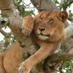 Users 12 User avatar