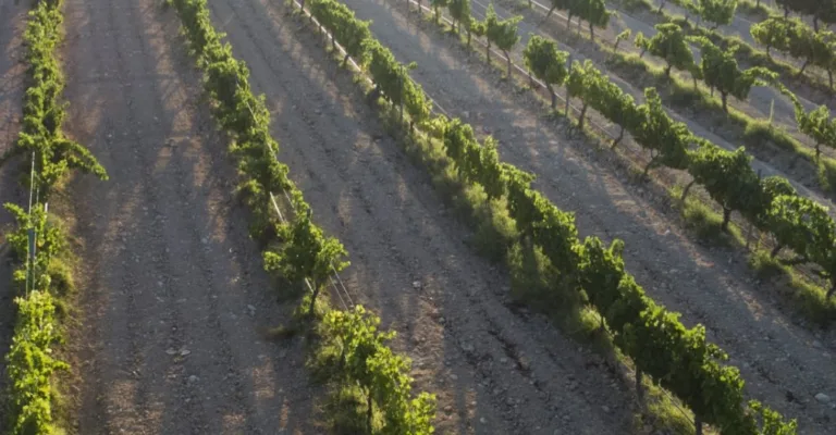 PiodelRamo 05 768x400