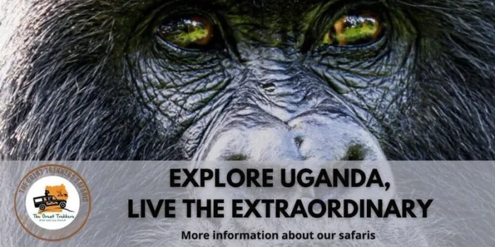 EXPLORE UGANDA