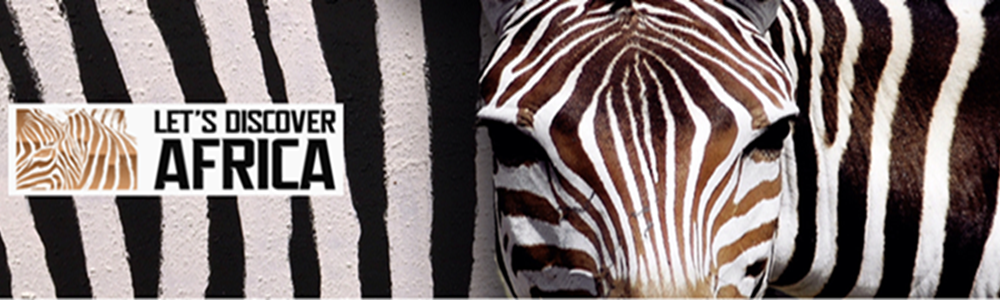 Profile 1 User banner image