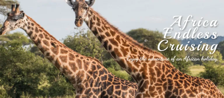 Location - All Africa in Business Directory 14 Africa Endless 768x337