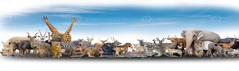 Profile 1 User banner image