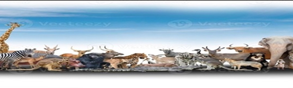 Profile 1 User banner image