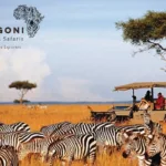 Kimgoni Tanzania Safaris - Arusha - Tanzania 7 Kimgoni Tanzania Safaris – Arusha – Tanzania