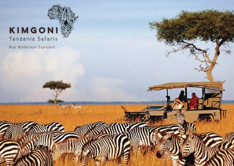 Location - All Africa in Business Directory 3 Kimgomi Tanzania Safaris 1 768x544